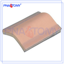 Modèle de peau en silicone PNT-TM001 Modèle de peau de suture (avec support)
